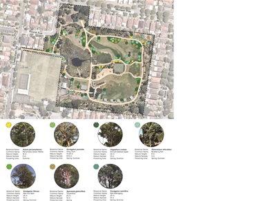 Map of tree canopy at Wangal Park