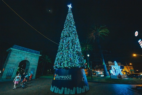 Christmas tree Burwood Park.jpg